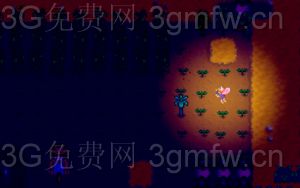 ��¶������Ů������¼�