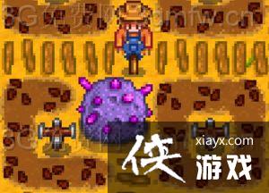 ��¶������Ů������¼�