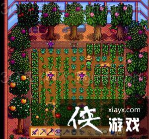 ��¶������������ô���������Ҳ���