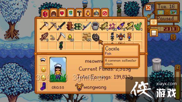 星露谷物语钓鱼技巧图文详解 星露谷物语钓鱼技巧图文详解