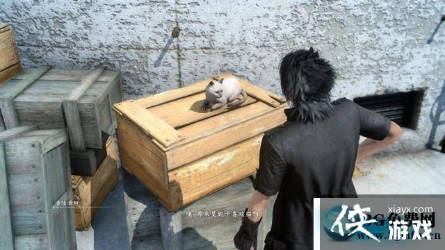 ���ջ���15�ڰ���֧������ͼ�Ĺ���