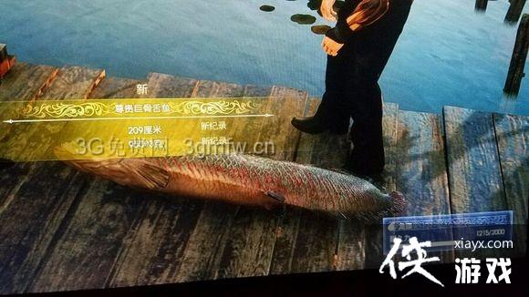 ���ջ���15�������ĵ��� FF15������ص�λ�ô�ȫ