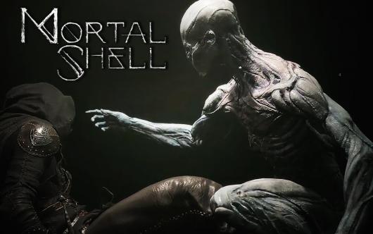 ͷ�����õ� ��Mortal Shell�� ���湥��