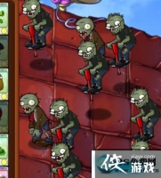 ֲ���ս��ʬ���������ô���� ֲ���ս��ʬ������ṥ��