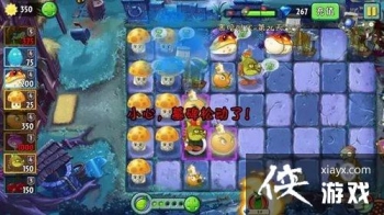 ֲ���ս��ʬ2�ڰ�ʱ����24����ô���� ֲ���ս��ʬ2�ڰ�ʱ����24�칥��