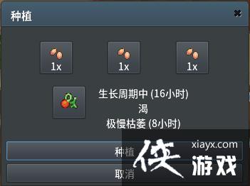 �ڴ��������߰�ľ��ѭ����ֲ����