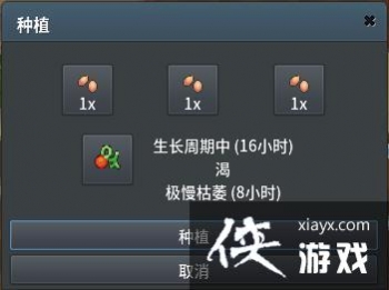 �ڴ��������߰�ľ��ѭ����ֲ����