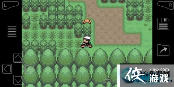 口袋妖怪究极绿宝石4.B孵蛋攻略 口袋妖怪究极绿宝石4.B孵蛋攻略