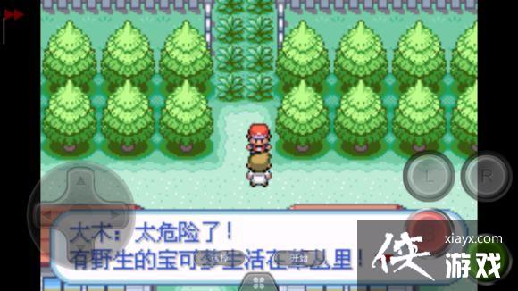 �ڴ�����Ҷ��ͨ��ͼ�Ĺ���