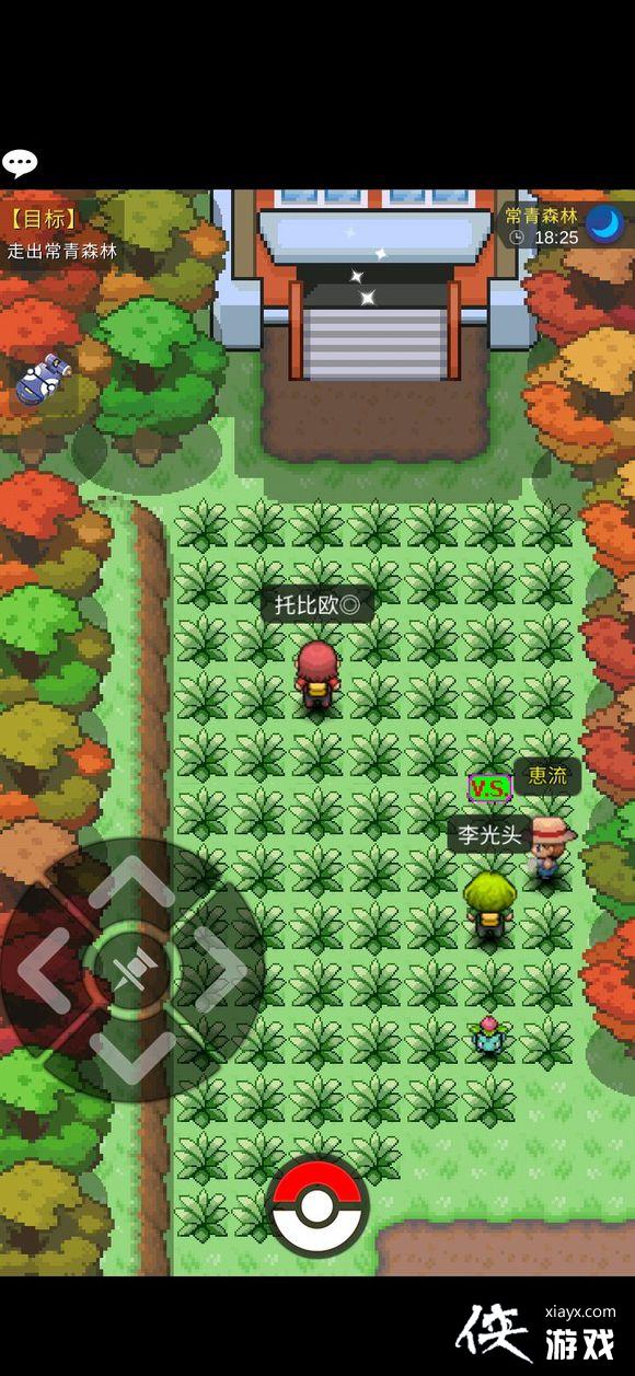 �ڴ�����plus�ض��������̹���