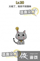 ���ԶԾ���30�ع���