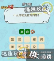 �Զ���������10���