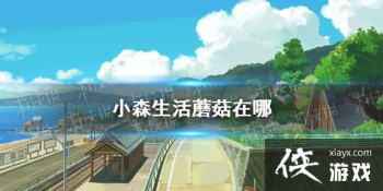 ��Сɭ���Ģ������ Ģ��λ��һ��