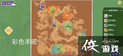 ��Сɭ����ʺ�����ʲôʱ��ˢ�� �ʺ�����ˢ�¹���