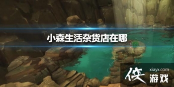 ��Сɭ����ӻ������� �ӻ���λ�ý���