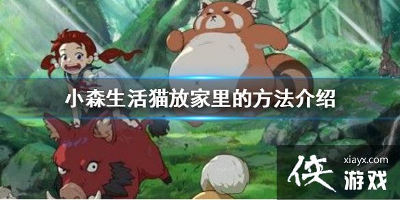 ��Сɭ���è��ô���ڼ��� è�ż���ķ�������