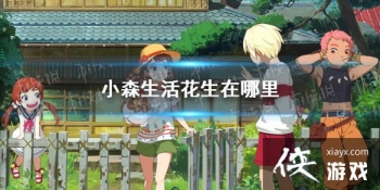 ��Сɭ������������� ����λ�ý���