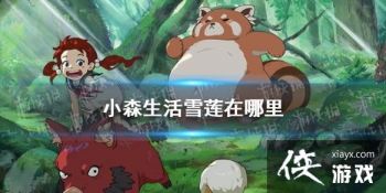 ��Сɭ���ѩ�������� ѩ��ˢ��λ��һ��