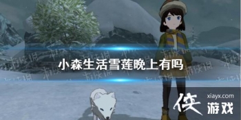 ��Сɭ���ѩ���������� ѩ��ˢ��ʱ�����