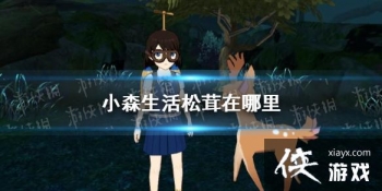 ��Сɭ������������� ����λ�ý���