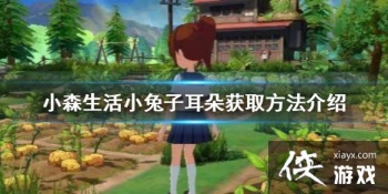 ��Сɭ���С���Ӷ�����ô��ȡ С���Ӷ����ȡ��������