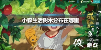 ��Сɭ�����ľ�ֲ������� ��ľ����