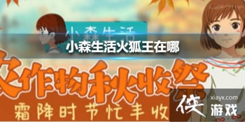 ��Сɭ������������ �����λ�ý���