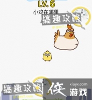 ��������Ƶ�6�ع���