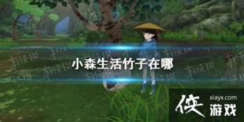 ��Сɭ����������� ��������λ�ý���