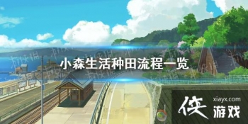 ��Сɭ�����ô���� ��������һ��