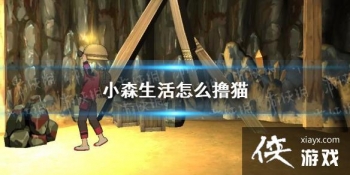 ��Сɭ�����ôߣè ߣè��������