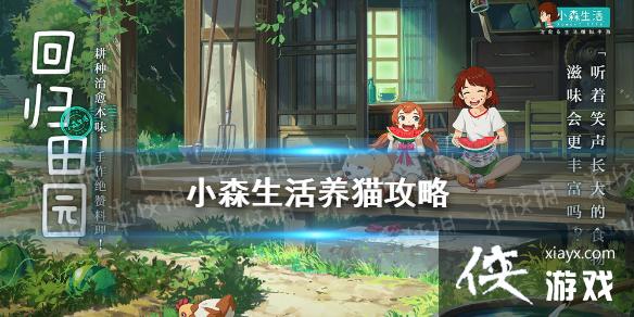 ��Сɭ�����ô��è ��è����