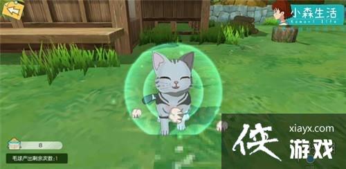 ��Сɭ�����ô��è ��è����