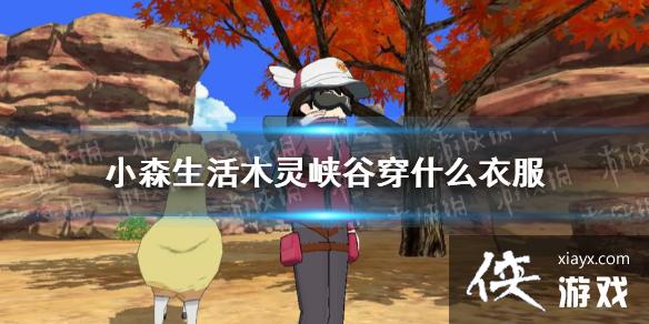 ��Сɭ���ľ��Ͽ�ȴ�ʲô�·� ľ��Ͽ���·�����