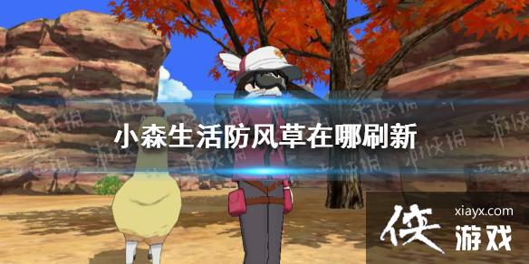 ��Сɭ������������ˢ�� �����λ�ý���