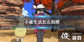 ��Сɭ�����ô���� �����淨����