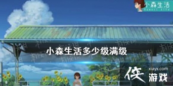 ��Сɭ������ټ����� ����������Դ����