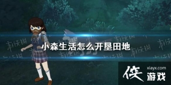 ��Сɭ�����ô������� �������ط�������