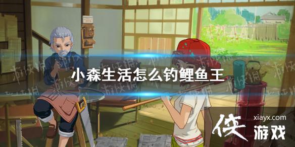 ��Сɭ�����ô�������� ��������ȡ����