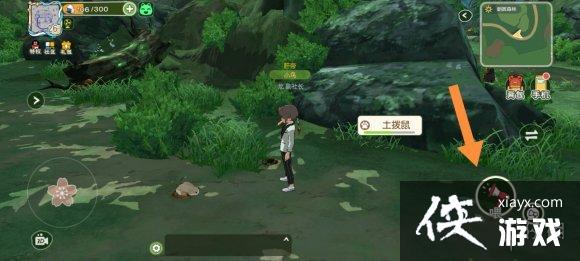 ��Сɭ������������� ������λ�ý���