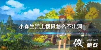 ��Сɭ�����������ô������ �������������