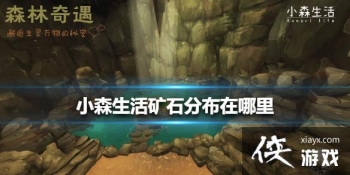 ��Сɭ�����ʯ�ֲ������� ��ʯ�ֲ�λ�ý���