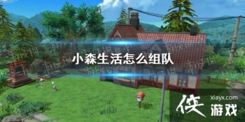 ��Сɭ�����ô��� ��ӷ�������