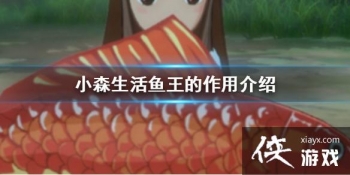 ��Сɭ���������������ʲô �������ý���