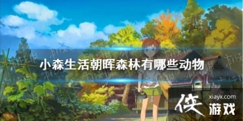 ��Сɭ�������ɭ������Щ���� ����ɭ�ֶ���ֲ�����