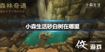 ��Сɭ���ɰ���������� ɰ����λ�ý���