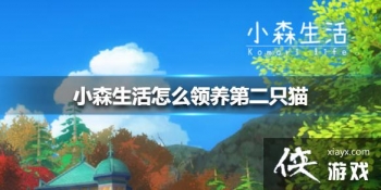 ��Сɭ�����ô�����ڶ�ֻè �����ڶ�ֻè����