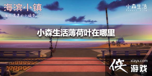 ��Сɭ�������Ҷ������ ����Ҷλ�ý���