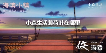 ��Сɭ�������Ҷ������ ����Ҷλ�ý���