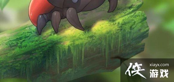 ��Сɭ�������Ҷ������ ����Ҷλ�ý���